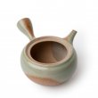 Kyusu Tokoname Kaiyu Yakishime