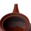 Kyusu Tokoname Morimasa Aka