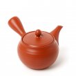 KYUSU TOKONAME MORIMASA SENDAN