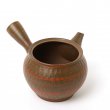 Kyusu Tokoname Yusen Ii Nerikomi #3