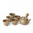 Kyusu Tokoname Isshin Irabo Set