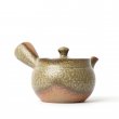 Kyusu Tokoname Isshin Irabo Set