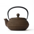 Iwachu Tetsu-Kyusu<br>Arare Goldcafe