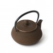 Iwachu Tetsu-Kyusu<br>Arare Goldcafe
