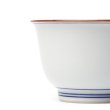 Japanese Teacup Set Porcelain Somekamon