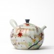 Teetassen Set Japan Porzellan 5er Tee Set Irodorikachō