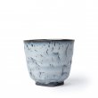 Japanese Teacup Kairagi