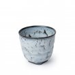 Japanese Teacup Kairagi