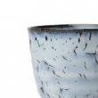 Japanese Teacup Kairagi