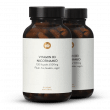 Vitamin B3 Nicotinamide High-Dose