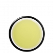 Tencha Tea Ishikawa Organic