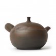 Kyusu Tokoname Jinshu Yohen