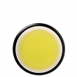 Shincha Tanegashima Yabukita pest.frei