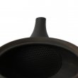 Kyusu Tokoname Gyokko Umbra Sendan