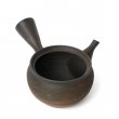 Kyusu Tokoname Gyokko Yohen