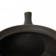 Kyusu Tokoname Gyokko Yohen
