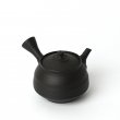 Kyusu Tokoname Fugetsu Fujigata