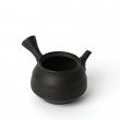 Kyusu Tokoname Fugetsu Fujigata