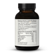 Poudre de myrtilles sauvages bio