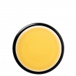 Phuguri FTGFOP1 Blend Darjeeling First Flush 2019