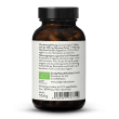 Bio Hericium Erinaceus Extrakt + Pulver Kapseln