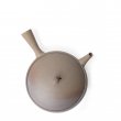 Kyusu Tokoname Jinshu Hira Yohen S