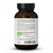 Bio Cordyceps Extrakt Kapseln