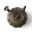 Kyusu Tokoname Yohei #1