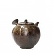 Kyusu Tokoname Yohei #1