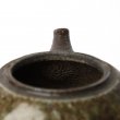 Kyusu Tokoname Yohei #1