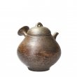 Kyusu Tokoname Yohei #2
