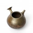 Kyusu Tokoname Yohei #2