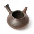 Kyusu Tokoname Yohei #3
