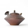 Kyusu Tokoname Yohei #4