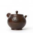 Vintage Kyusu Tokoname Shoson #1