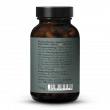 Flora Essentials Plus + B Complex Bioactive