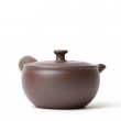Japanese Teapot KYUSU BANKO HIRA-WAN MUJI