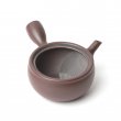 Japanese Teapot KYUSU BANKO HIRA-WAN MUJI