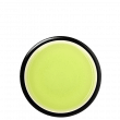 Gyokuro Hoshino