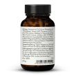 High-Dose Bioactive B Complex With Cofactors