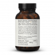 NAC 600 N-Acetyl Cysteine