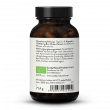 Bio Grüne Oliven Polyphenole Plus