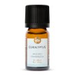 Huile essentielle d'eucalyptus sauvage bio