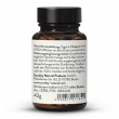 Pycnogenol® 100+C Kiefernrindenextrakt