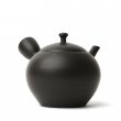 KYUSU TOKONAME HOKURYU MARUGATA KURO