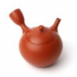 Kyusu Tokoname Hokuryū Marugata Aka