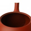 Kyusu Tokoname Hokuryū Marugata Aka