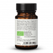Organic Lavender Oil Capsules