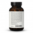 Fatigue Complex