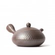Kyusu Banko Iroku Maruhari